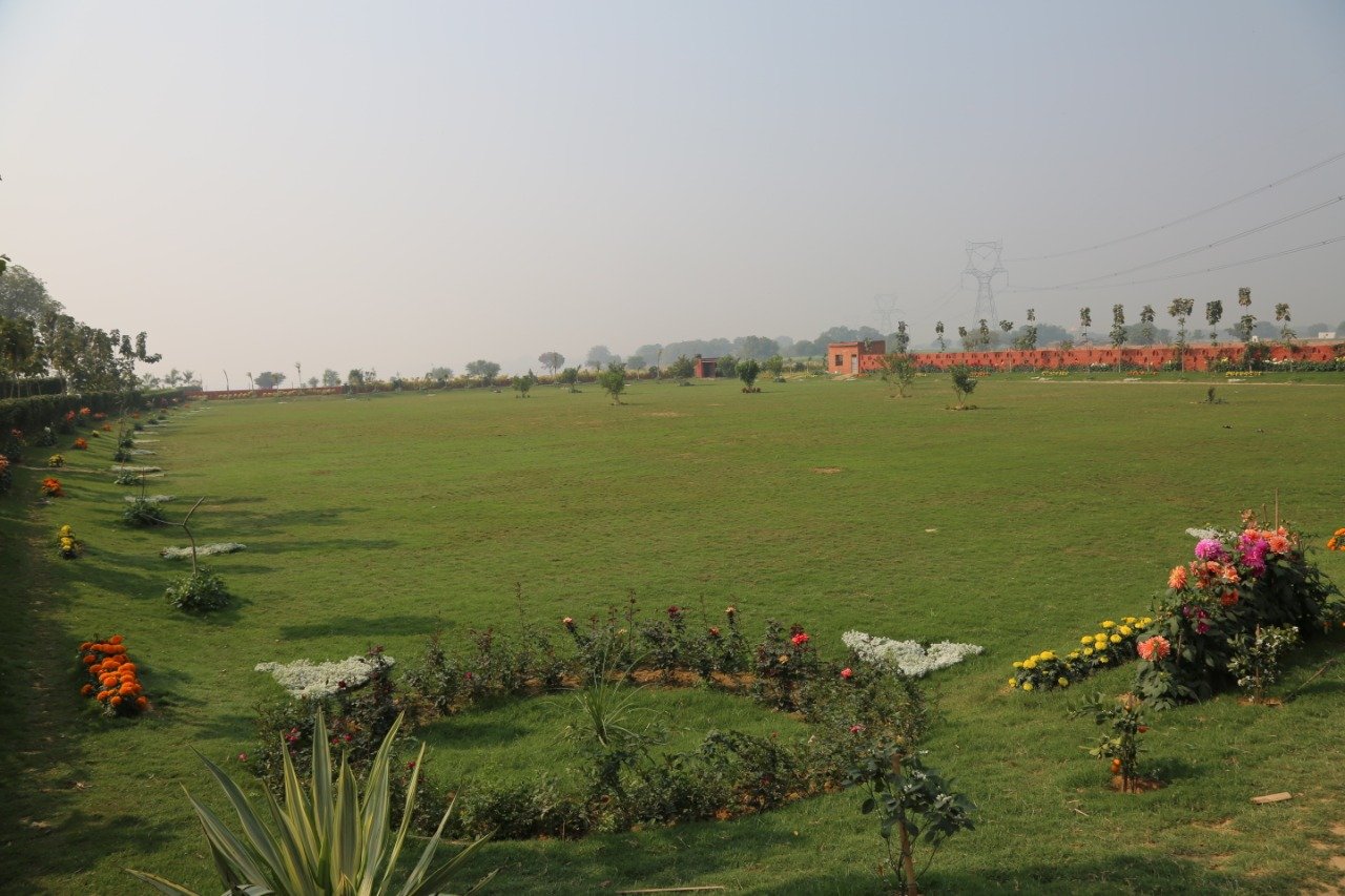 IMG-20260127-WA0005.jpg (1)