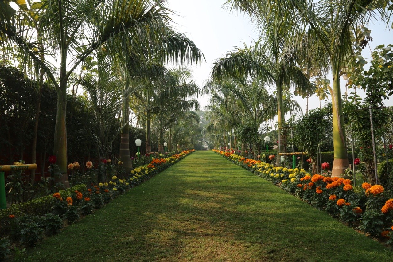 IMG-20260127-WA0007.jpg (1)