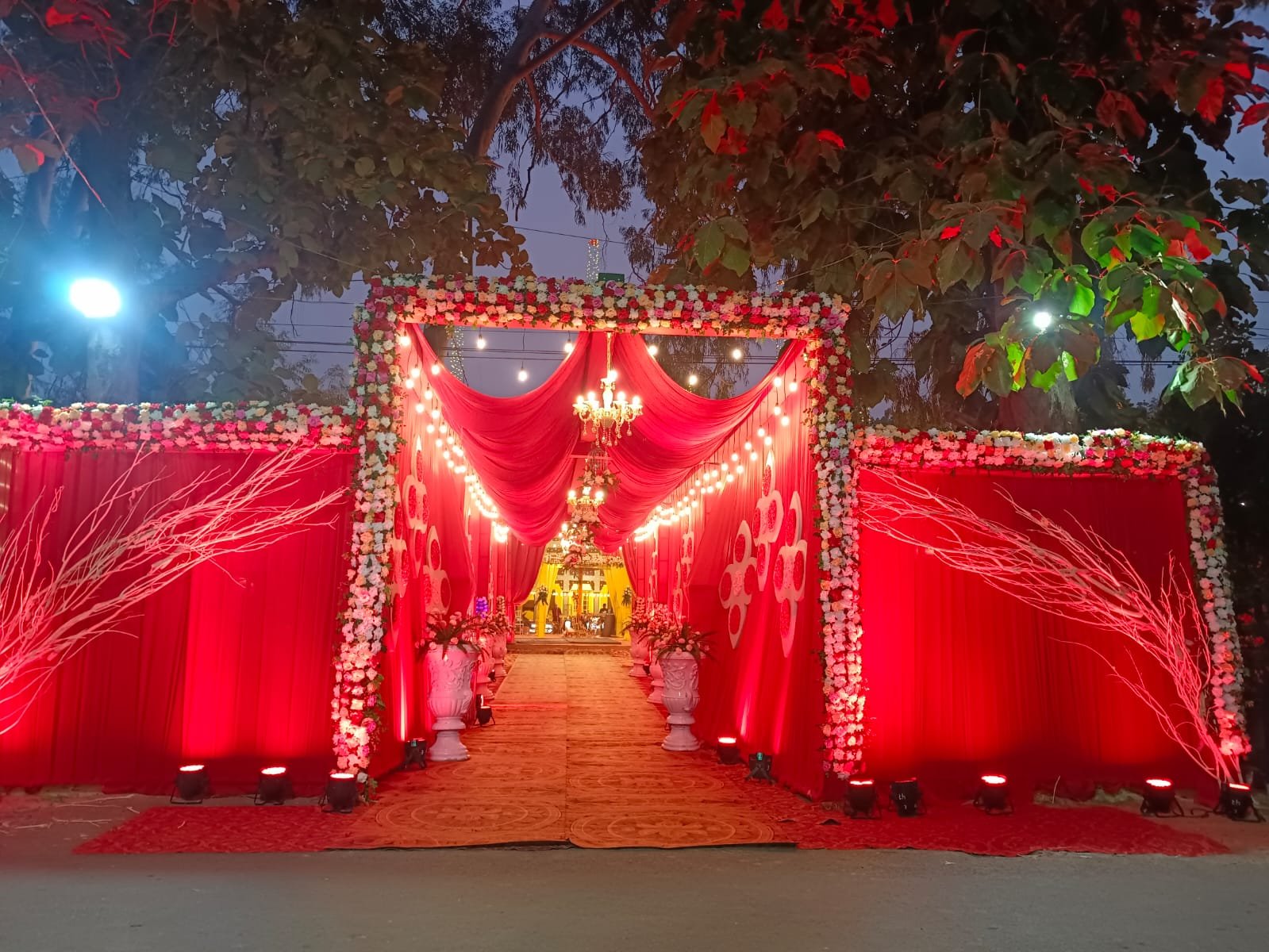 IMG-20260219-WA0032.jpg (1)